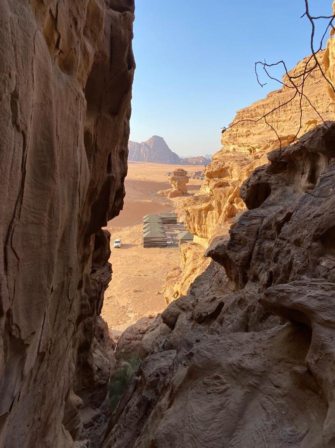 Desert Jewel Camp Wadi Rum Extérieur photo