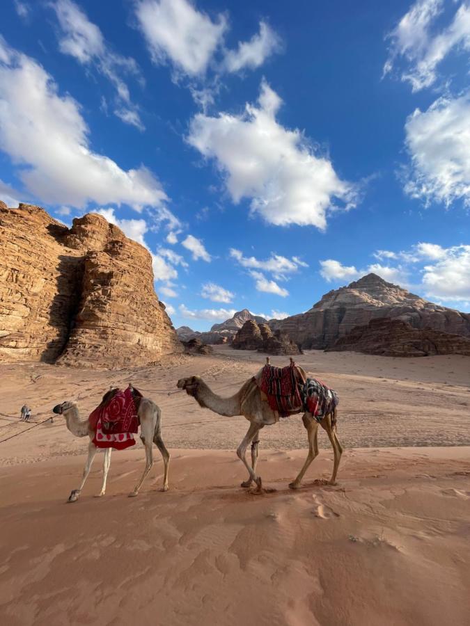 Desert Jewel Camp Wadi Rum Extérieur photo